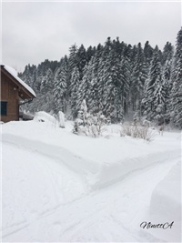 6c39b367-20170118 VV.jpg